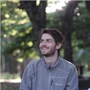 Clases de alemán dinámicas para introducirse en el idioma o para seguir aprendiendo!